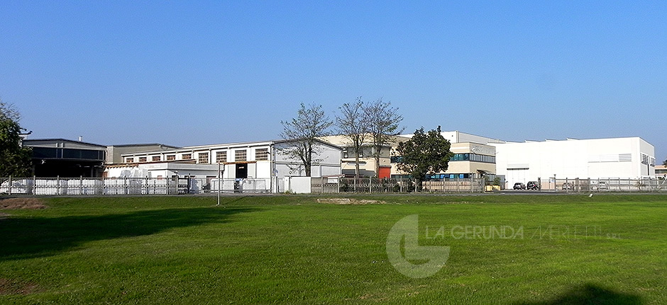Foto azienda
